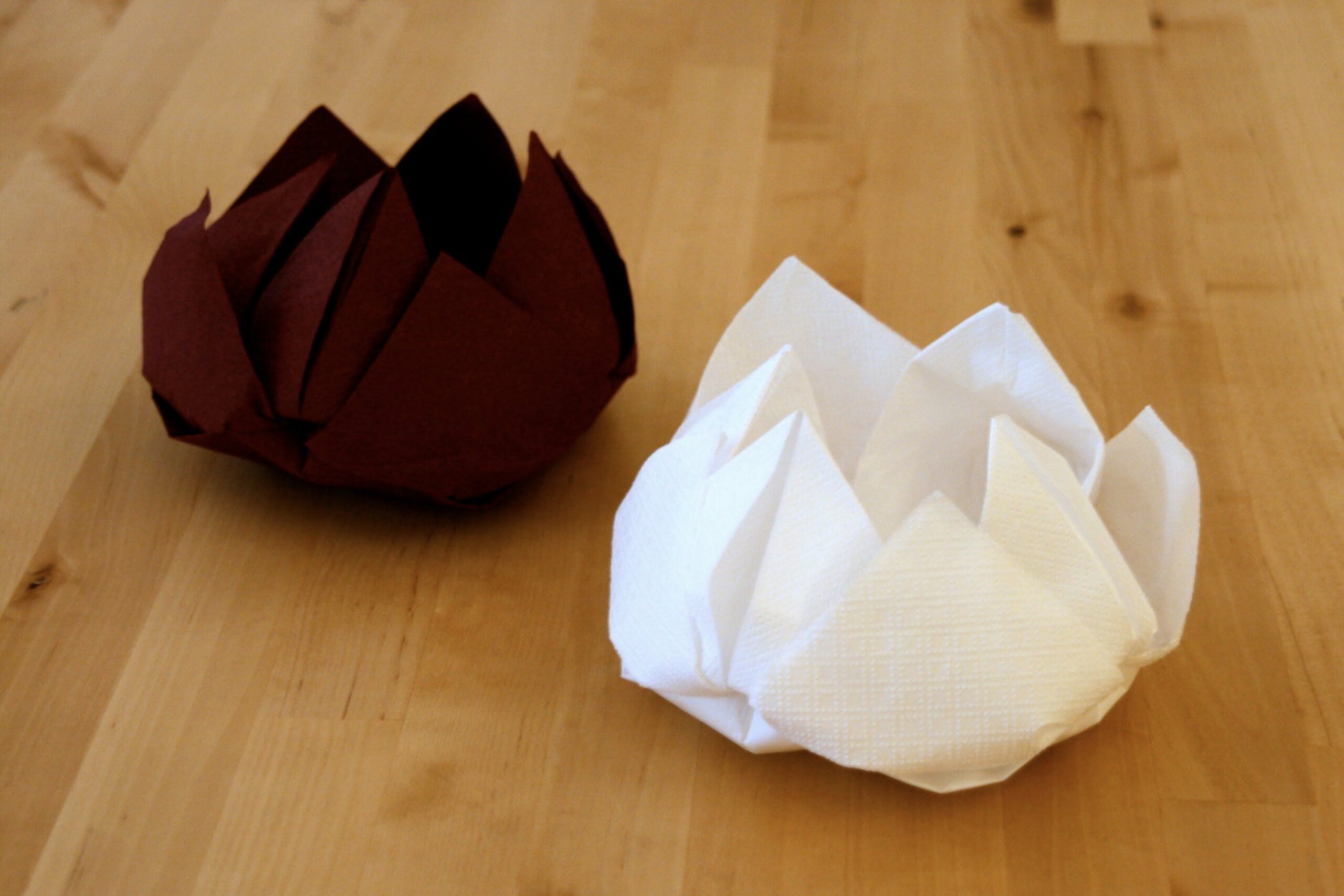lotus blanc et rouge