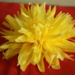 fleur de pissenlit