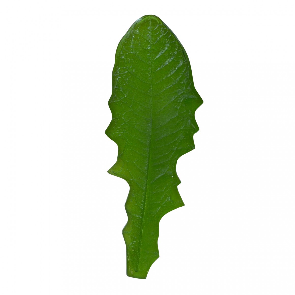feuille de pissenlit