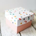 Coffret DIY photos d'espèces