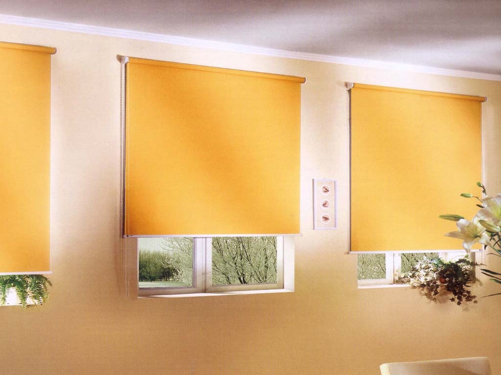 volets roulants dans l'appartement