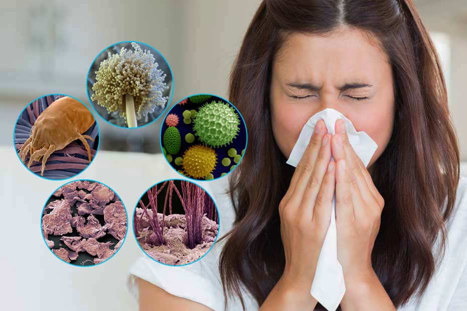 allergie
