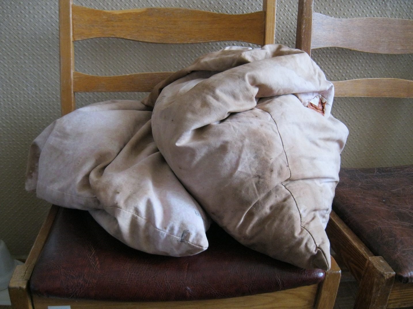 peluches dans un étui